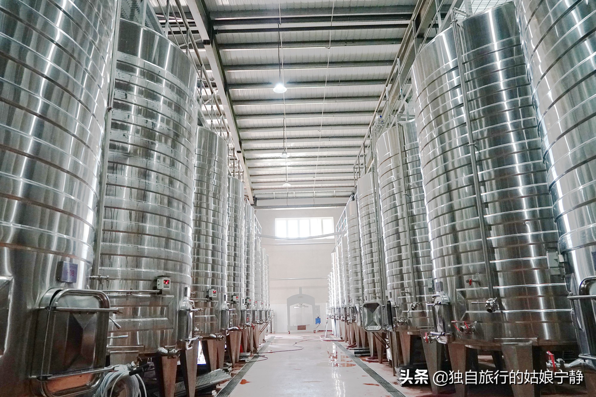 宁夏酒庄参观推荐,宁夏葡萄酒排行榜前十名酒庄