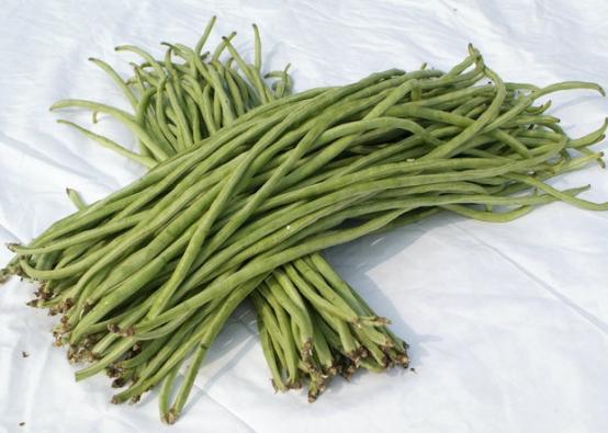 吃不完的豆角这样做能放一年,长豆角吃不完能放冰箱冷冻吗