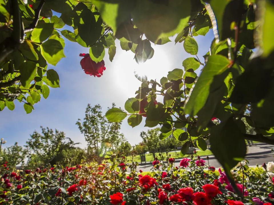 山东工业技师学院一年多少钱,山东工业技师学院2023招生简章
