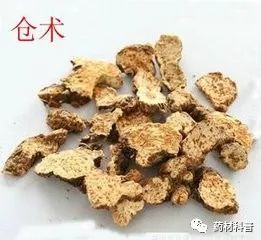 痛风与风湿的区别专用药,痛风用治疗风湿的中药可以吗