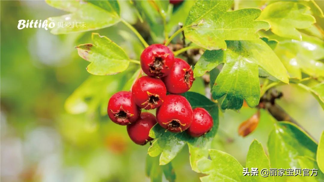 宝宝积食最快最简单的解决方法,宝宝积食怎么办教你一招搞定