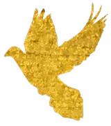 爱贝英语开课,爱贝开学季