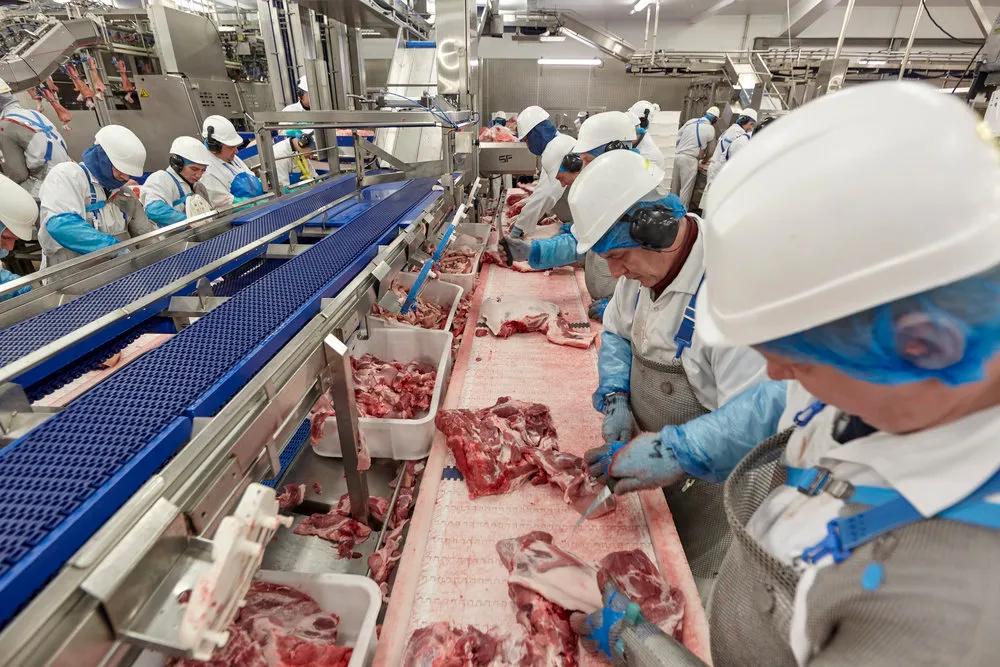 全球疫情影响工厂停工,全球疫情导致公司倒闭数量