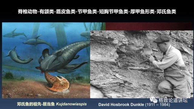 我们用来咬合的颌骨，竟和这条古鱼海怪一脉相承