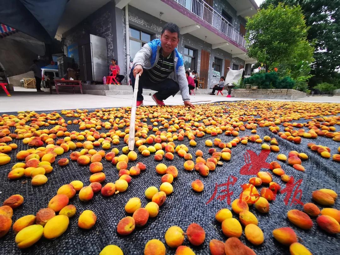 褰撳垢绂忔潵鏁查棬鎵撳紑闂ㄥ幓杩庢帴鏈潵,褰撳垢绂忔潵鏁查棬閮槼閮寒鍘熷敱