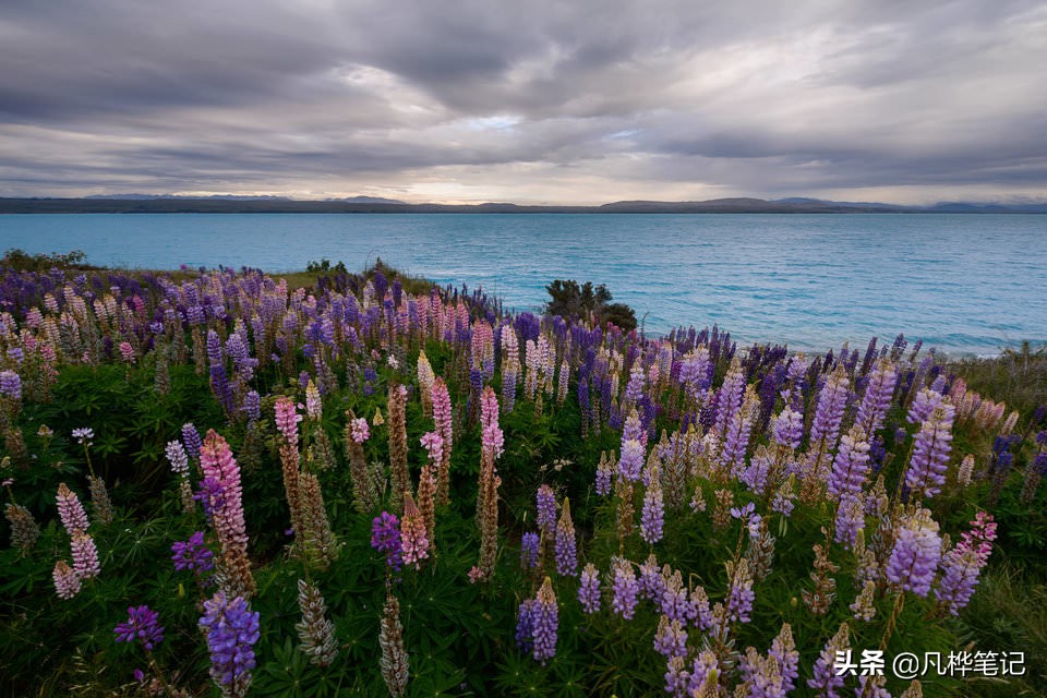 学习摄影知识入门看哪本书,摄影基础知识光圈