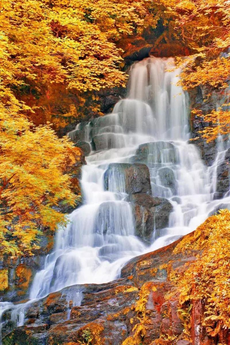 世界上哪些国家禁止离婚,世界上禁止离婚的国家高清视频