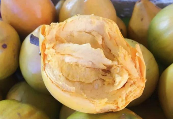 云南西双版纳旅游特色水果,云南西双版纳水果花