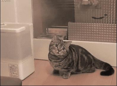 魏老爸智米加湿器,魏老爸评测加湿器哪个好