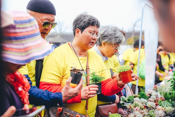 四月上海最全出行景点出炉!60余项踏青赏花游供选择