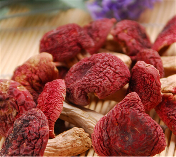 野生红菇种植,野生红菇哪里产的多