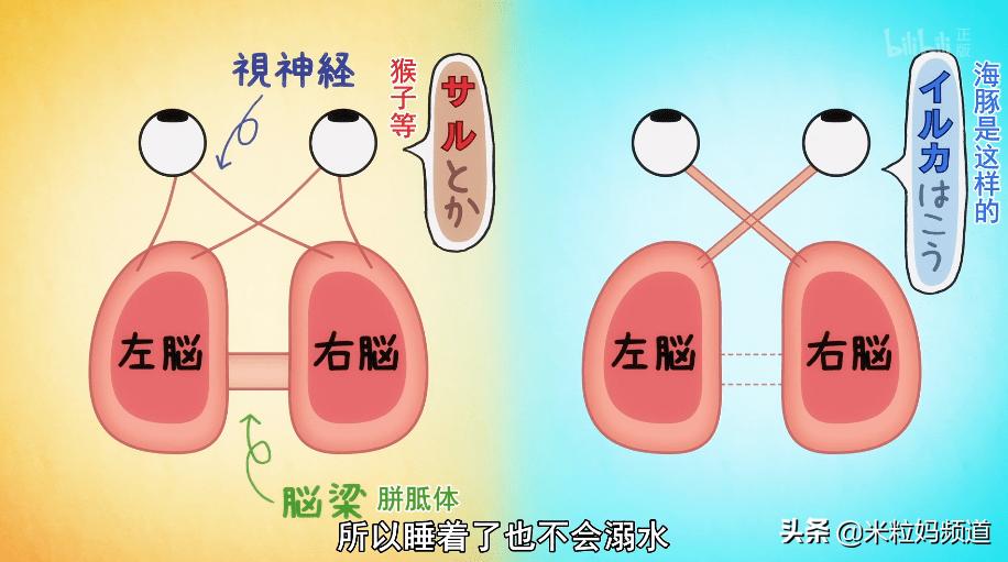 年度惊喜电影,8部科普必看的动画片