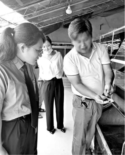 养殖水蛭骗局大揭秘,水蛭养殖事件