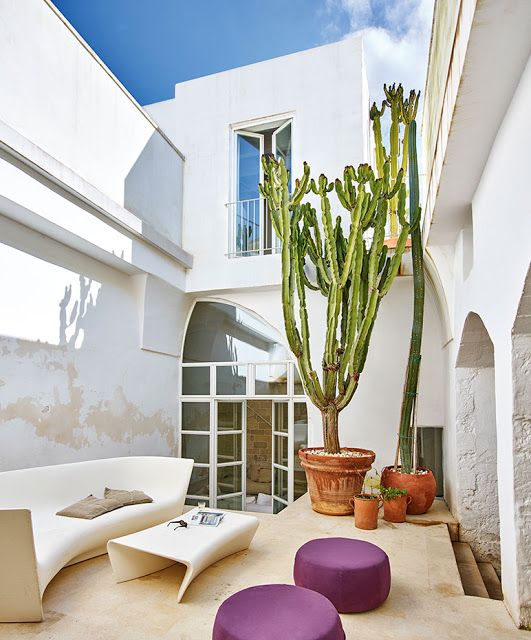 满足你对露台院子养花的梦想,养花种菜小院生活