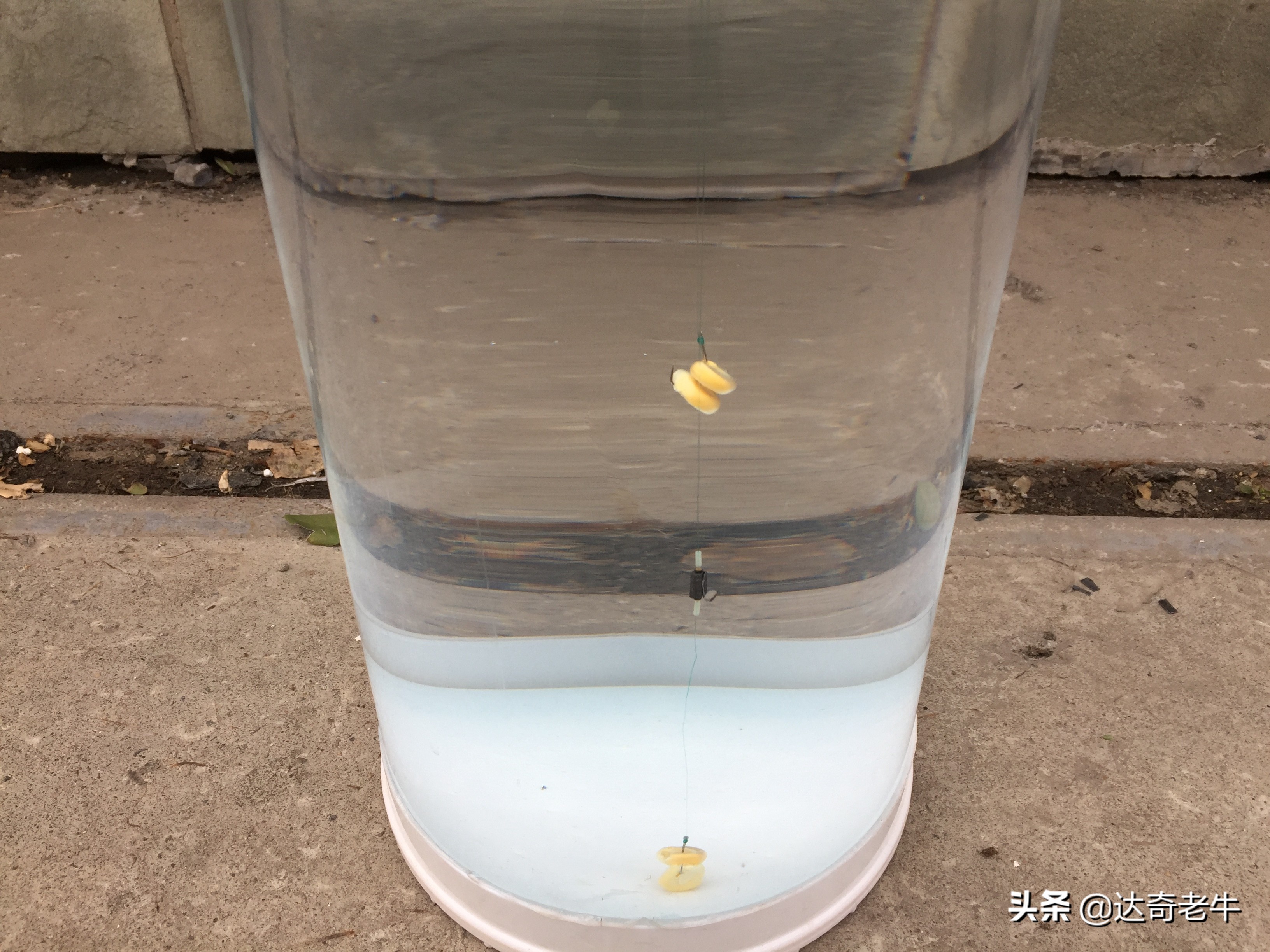 滑铅双铅坠钓法与调漂方法,双铅滑铅坠钓法与调漂方法