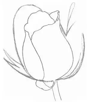 鐜懓绱犳弿鏁欑▼,绱犳弿鐜懓鐢绘硶鏁欑▼