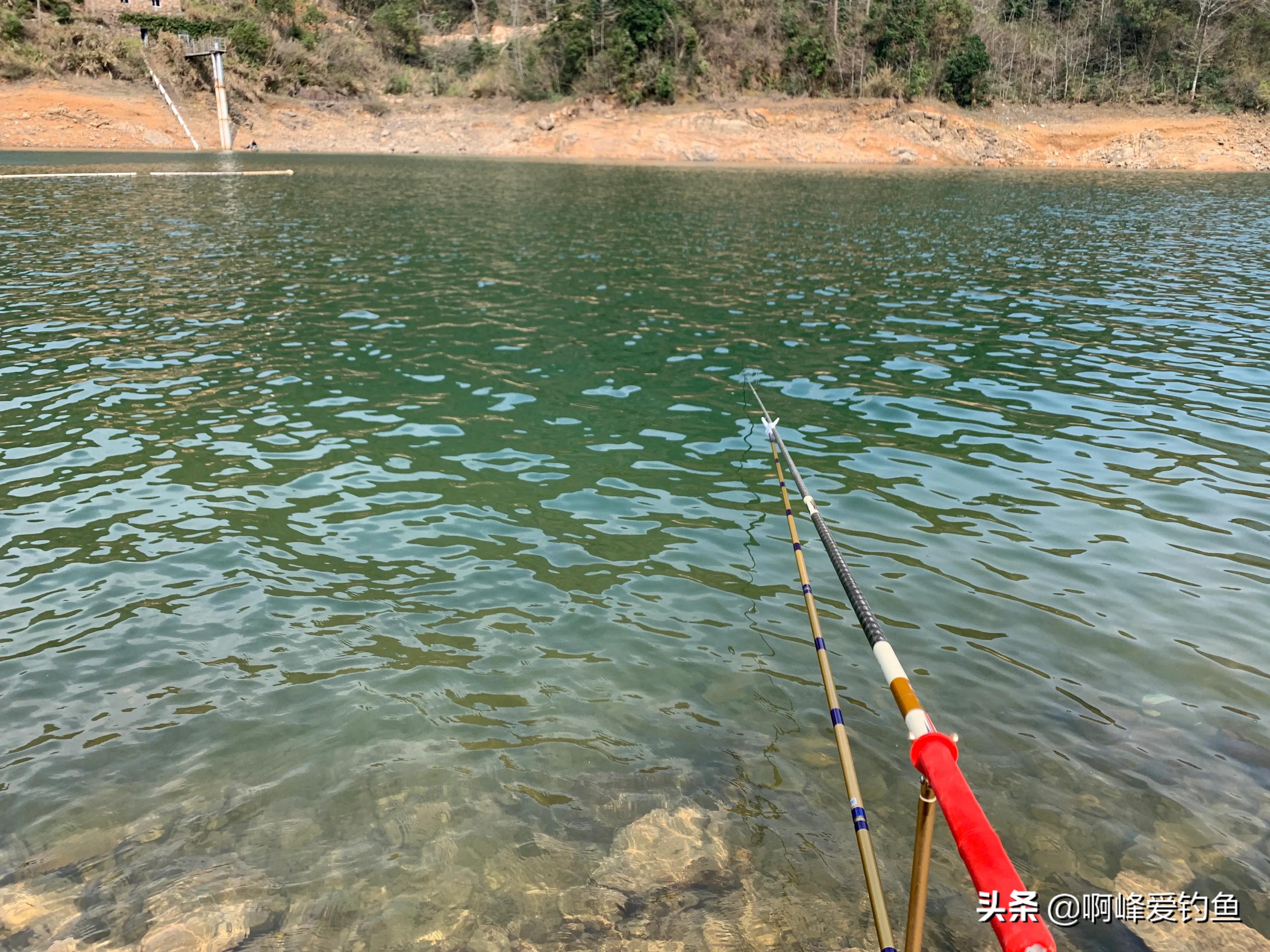 重唇鱼，重口鱼，除了是鱼，可以吃，还有它的食补功效你了解吗？