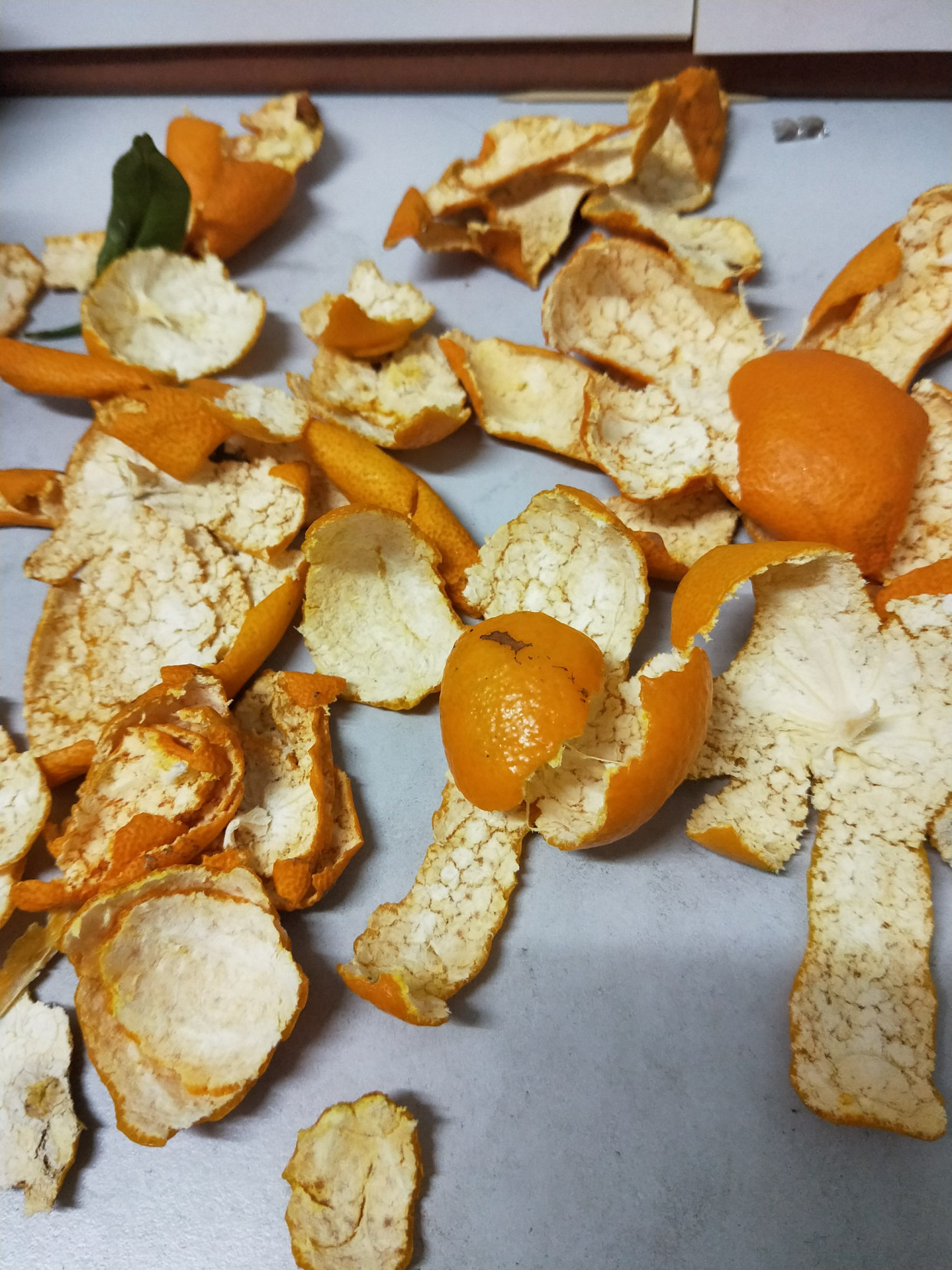 家庭养花的垃圾处理,垃圾养花有哪些好处