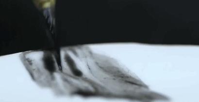 宋徽宗的鸟征服了奥斯卡！徽宗本宗：朕的中国画，天下第一！