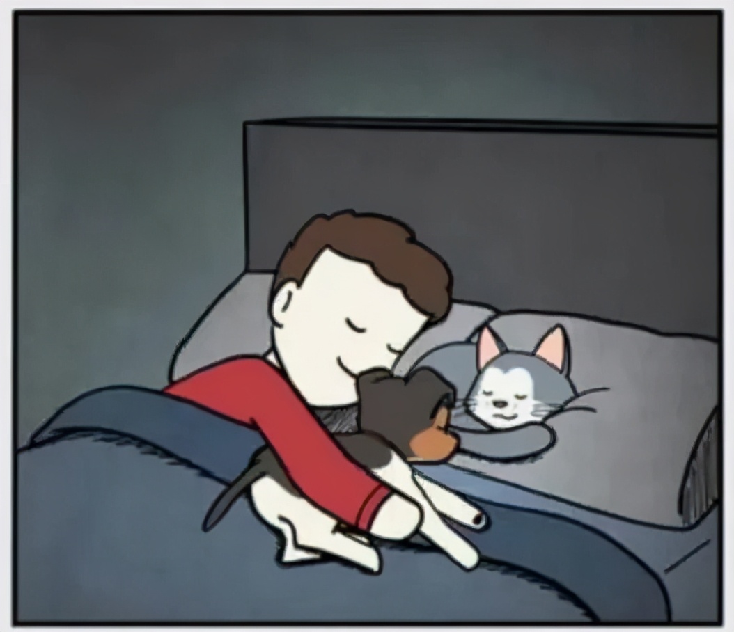 猫和铲屎官漫画全集,铲屎官和狗子的漫画