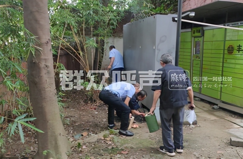 小区发生蛇患如何治理,成都一小区蛇患严重