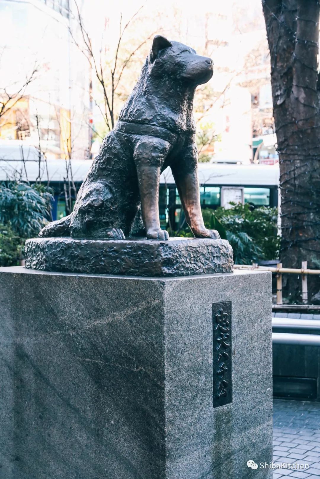 表参道和代官山的距离,表参道代官山店几点开门