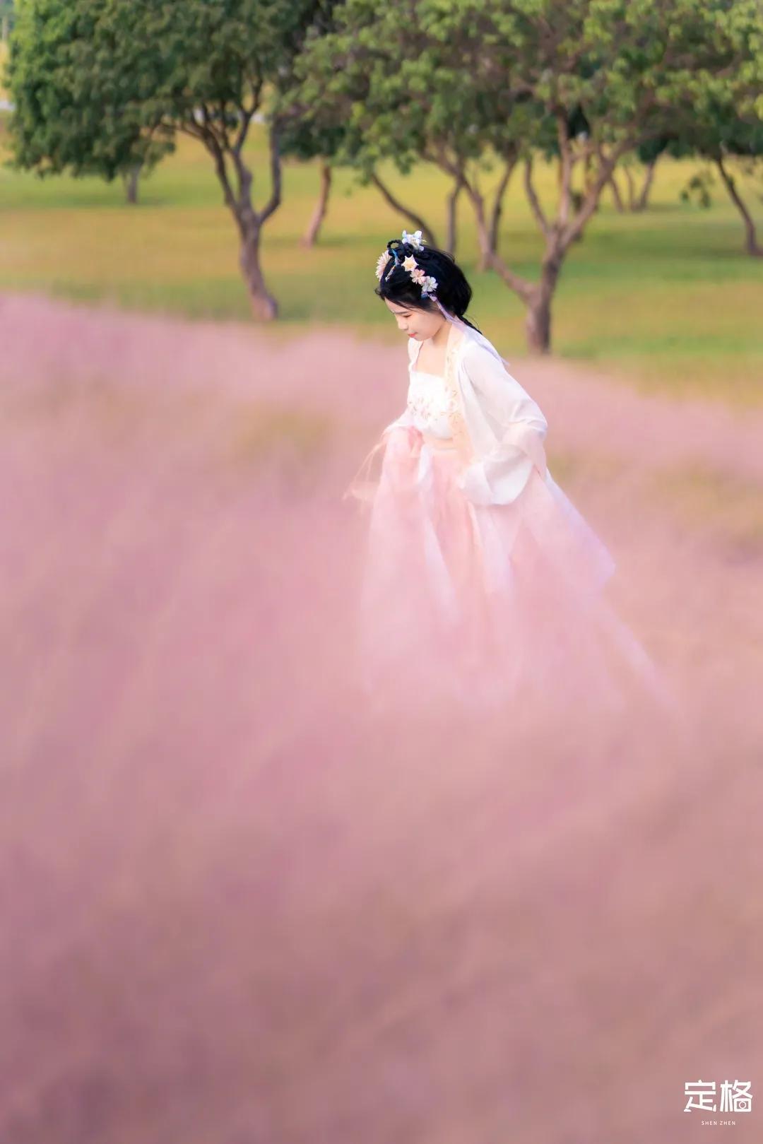 深圳周末打卡地点排行榜,深圳秋季打卡攻略