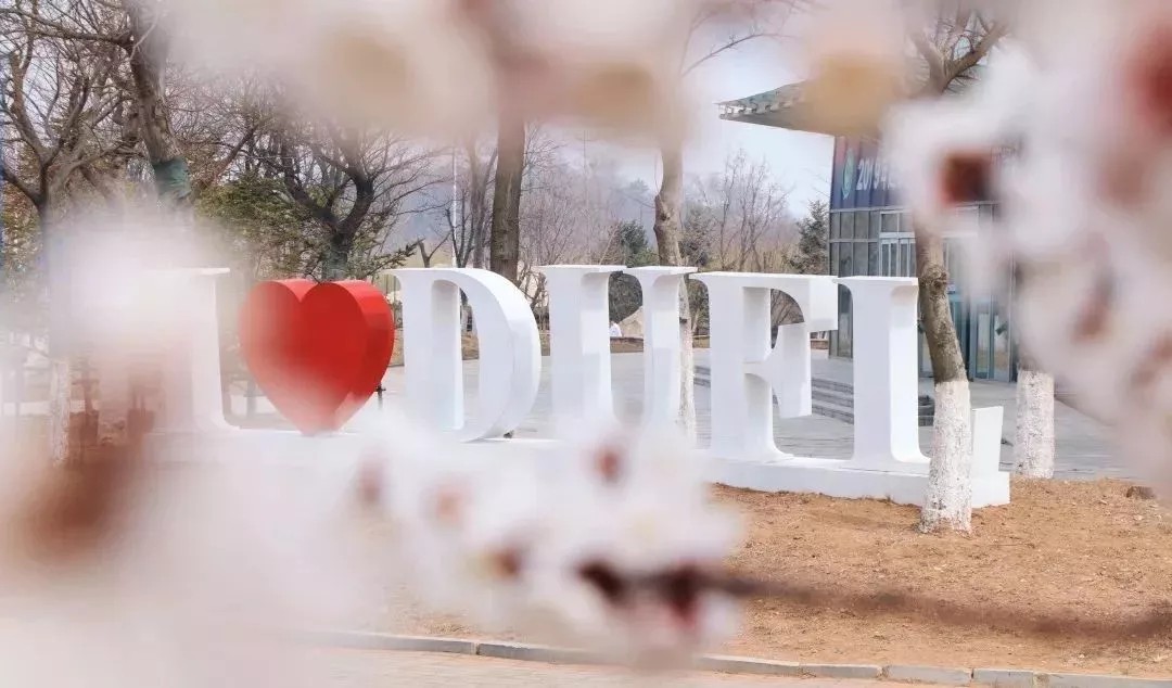 向往的大外|带你一起看大外