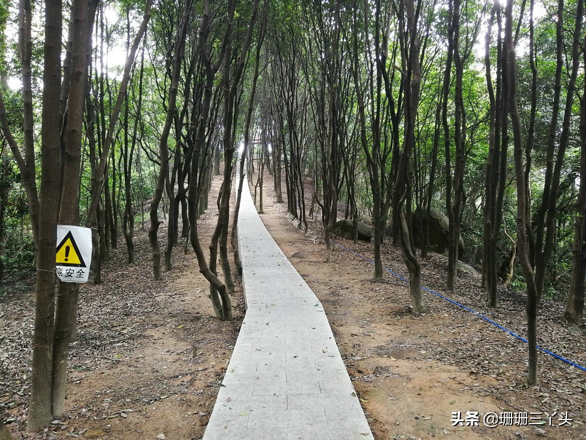 广州有座像老虎的山,广州有一座山是圆形的