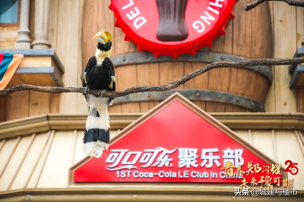 银基今日客流量,银基客流量
