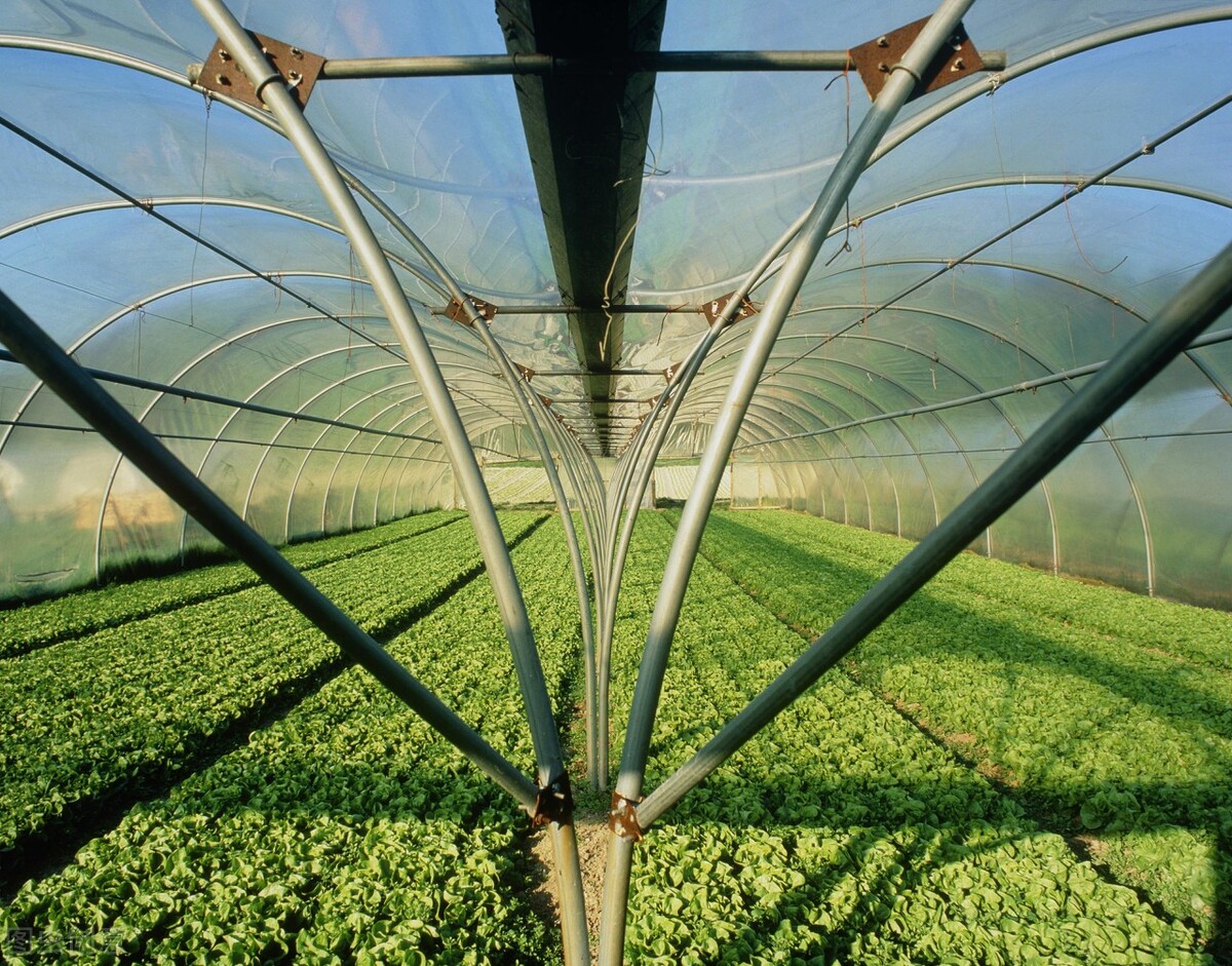 现代社会有旱灾吗,现代会出现旱灾吗