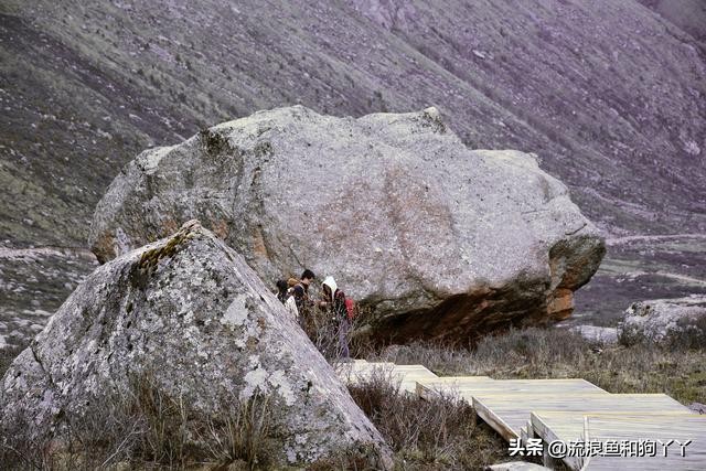年保玉则现在开放了吗,年保玉则为啥被封