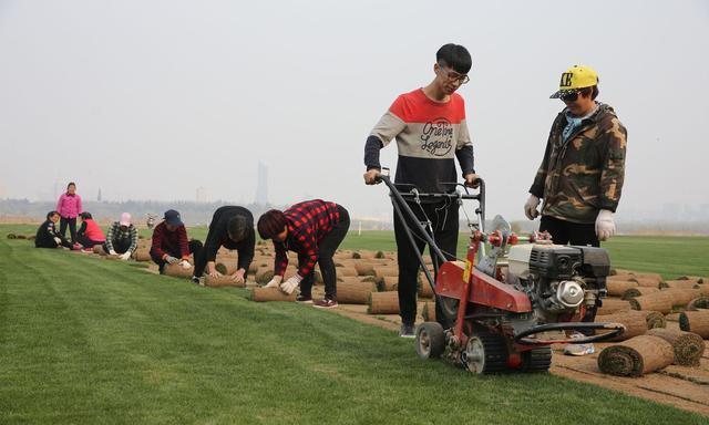 河南小伙好吃懒做,河南小伙放弃百万年薪回家种地