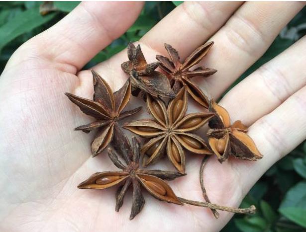 买八角要分清直角还是勾角,买八角时认清直角与钩角