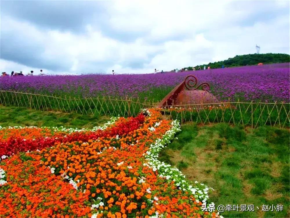 踏春寻美景,踏春赏花梯田漫步