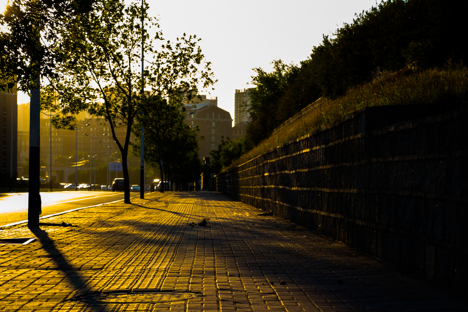 佳能eos77d单反相机机身,佳能eos77d对比苹果手机