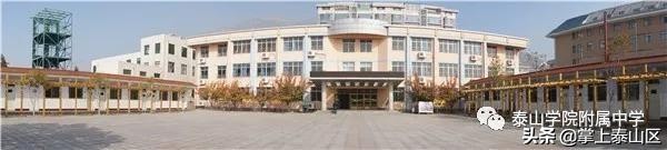 泰山双语学校招聘教师,泰山外国语学校老师招聘