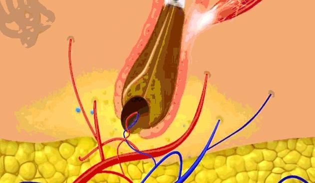 明星亲测有效的护肤品,明星亲测