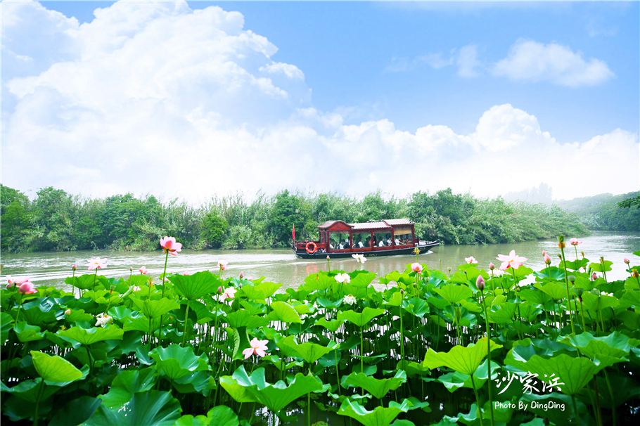 苏州红色革命旅游景点图片,苏州红色革命景点介绍视频