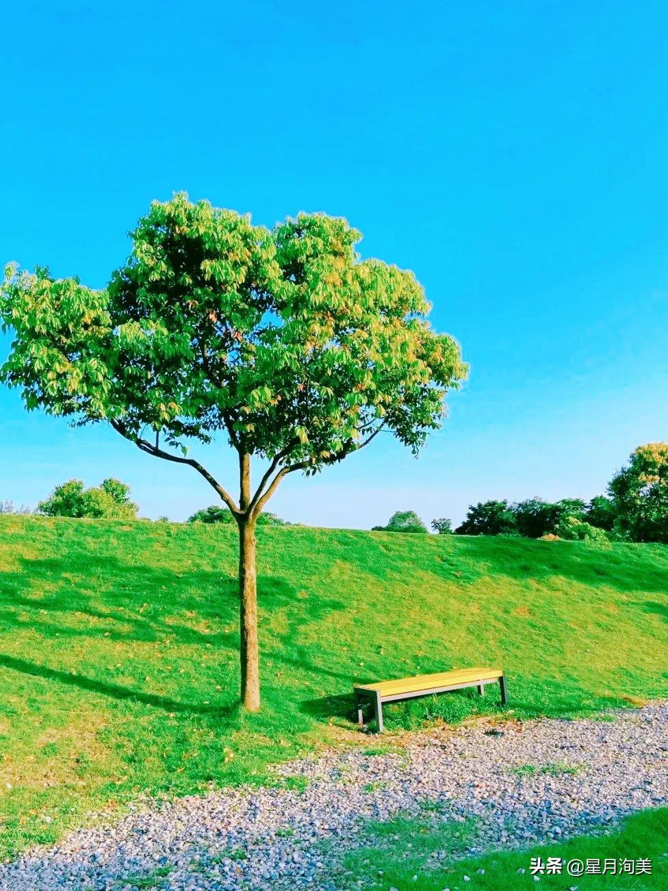 成都小众但值得去的地方,成都必打卡的30个小众上镜地