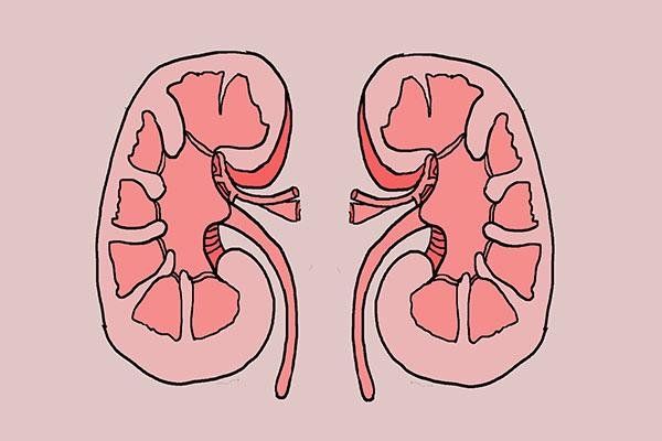 一说话嘴里传出臭味,一说话嘴里就出现口臭是怎么回事