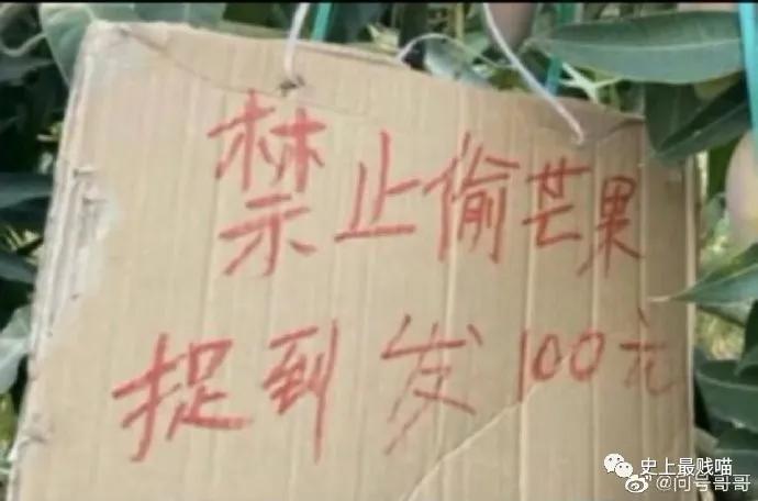 “教你怎么和家里的长辈微信聊天？”这操作太骚了！