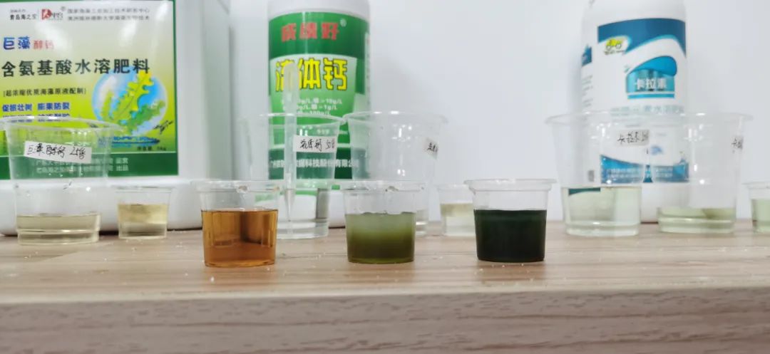 螯合钙镁和磷酸二氢钾混配行吗,螯合钙可以和磷酸二氢钾一起用吗