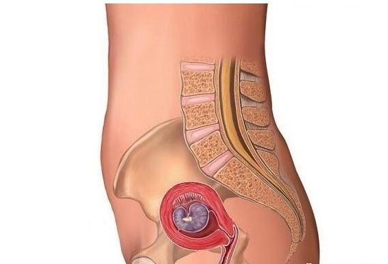 怀孕到底有多辛苦只有妈妈才知道,怀孕真辛苦