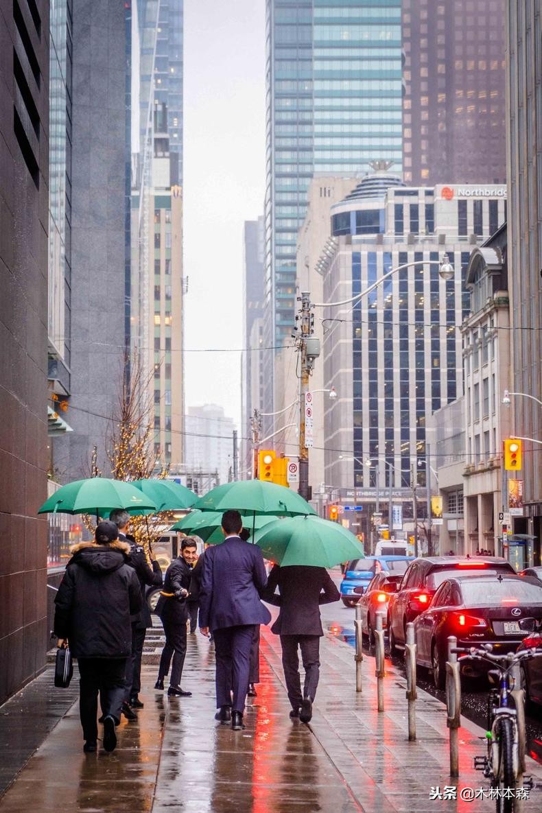 加拿大多伦多生活日记,加拿大多伦多留学生活纪实
