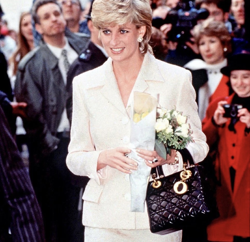 奢侈品鉴定dior,dior戴妃包最好看颜色