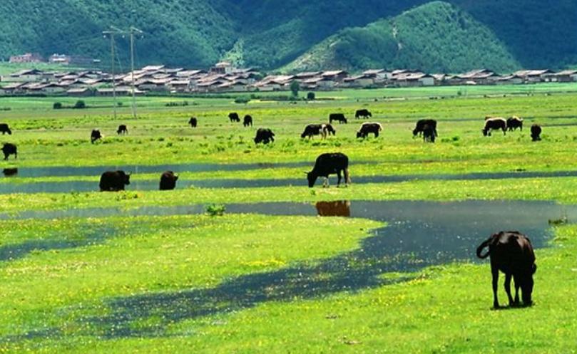 香格里拉让人魂牵梦绕，当地这11大景点给你非凡的旅行体验