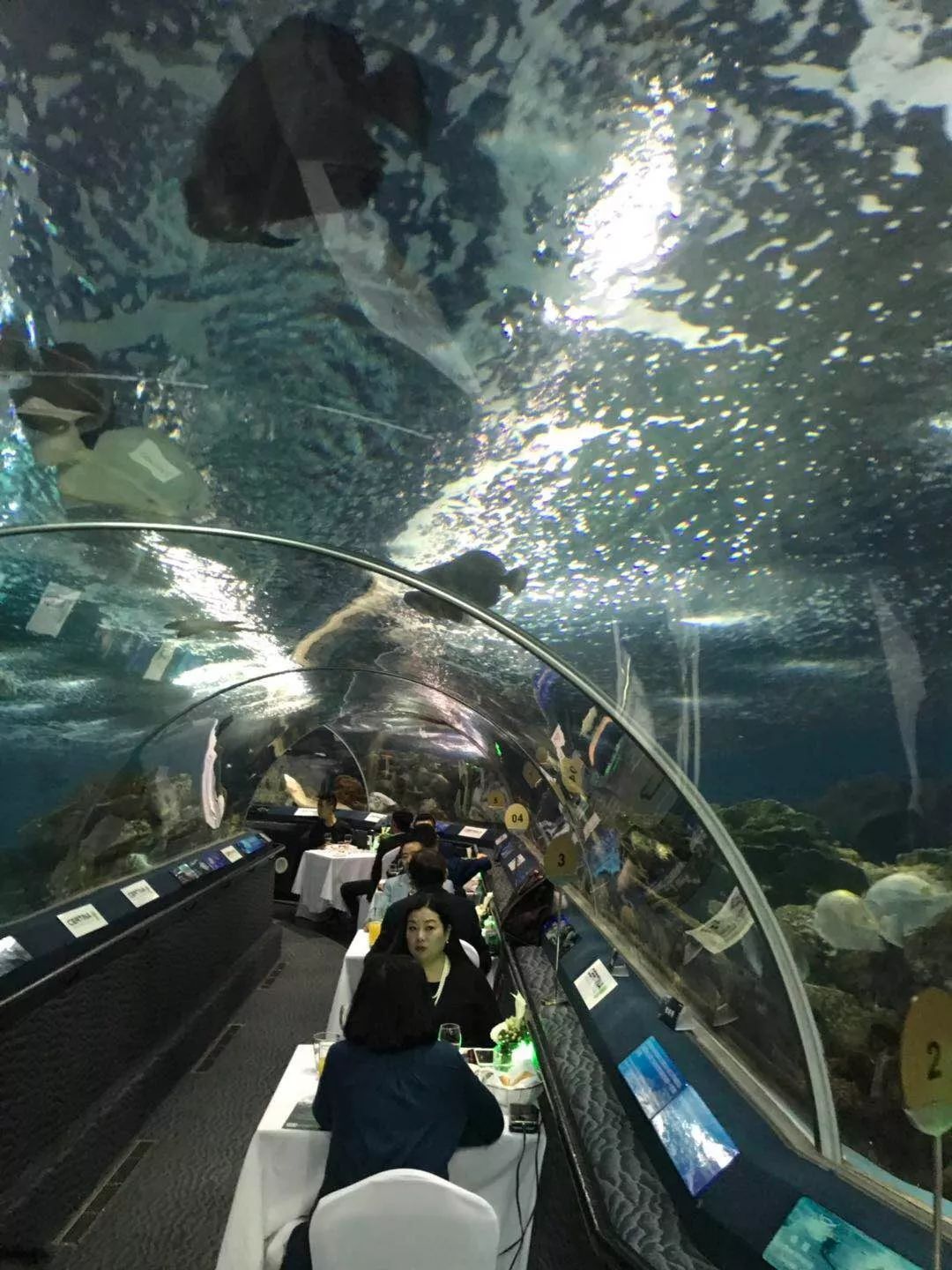 一千以下价位的潜水表,两三千元的潜水表