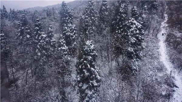 想在西岭雪山长期滑雪应该怎么样,西岭雪山滑雪全攻略