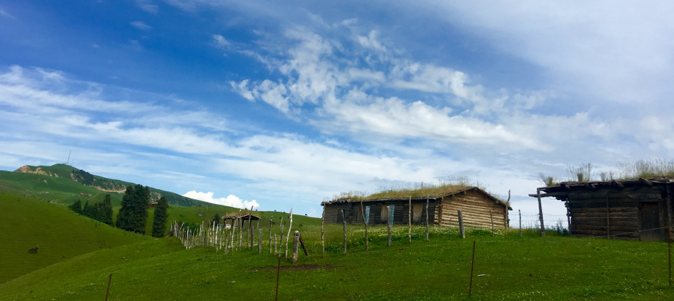 广州公益徒步2019,广州徒步走活动